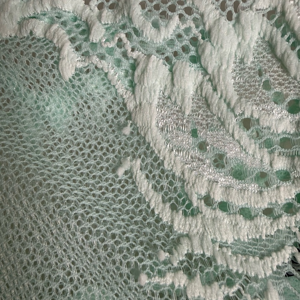 NWT, Natori Feathers Mint Lace Women’s Panty, 3X Lace - Picture 4 of 14